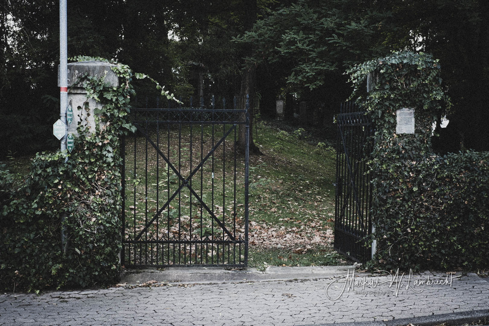 Steinheim (Westfalen)